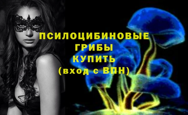 соль ск Арсеньев