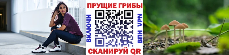 Галлюциногенные грибы ЛСД купить цена Усть-Илимск