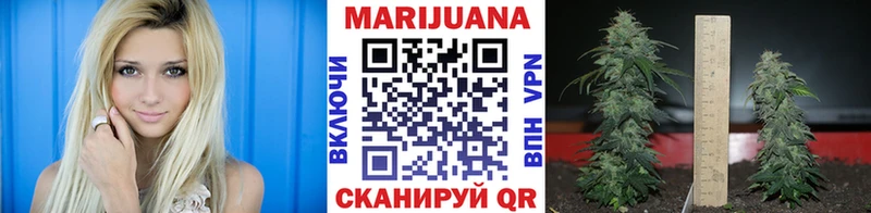 Шишки марихуана планчик  купить наркоту  ОМГ ОМГ ссылка  Усть-Илимск 